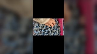 Rouleau de ramassage HP 1010