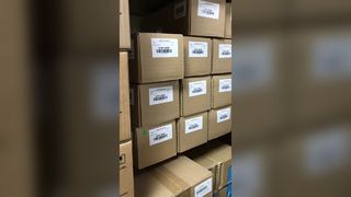 Ensemble de rouleaux de transfert d'origine Xerox 019K16290